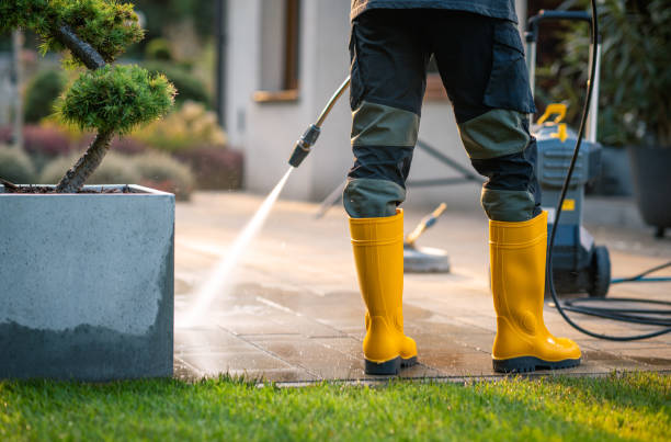 Best Pressure Washing Company Near Me  in Gallipolis, OH